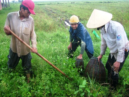 Tận[-]diệt[-]chuột[-]còn[-]giúp[-]bà[-]con[-]an[-]tâm[-]phần[-]nào[-]cho[-]mùa[-]vụ[-]mới